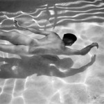 Deanna Templeton's The Swimming Pool